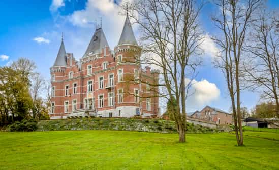 Afbeelding van accommodatie BE-1092086-Gesves Formidabel kasteel nabij Namur met wellness, bioscoopzaal, biljard - ideaal voor grote groepen, families met kinderen en huwelijk