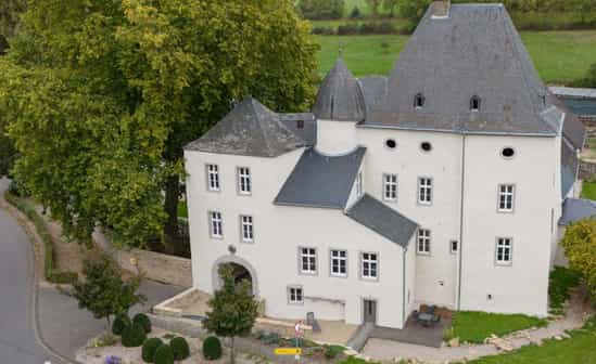 Afbeelding van accommodatie DE-1091908-Ließem **Openingsaanbieding geldig tot april** - Luxe kasteelvakantie met grote wellnesstuin in de Duitse Eifel