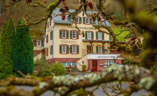 Image of accommodation DE-1092258-Sankt Goar Former winery on the Rhine, with wellness and numerous activities