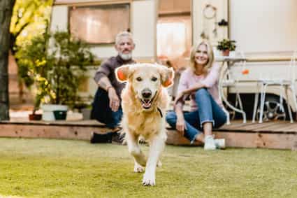 Une image de La Belgique est-elle vraiment accueillante pour les chiens ? Nos expériences &amp; conseils