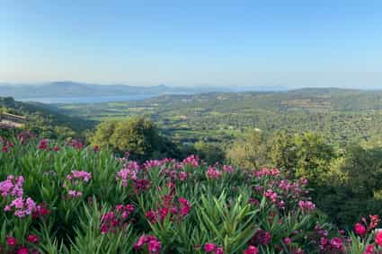 Imagen de Meine Frankreich Weinreise: Entdeckungen in der Provence